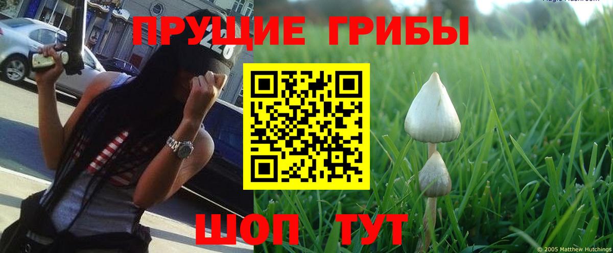 Галлюциногенные грибы GOLDEN TEACHER Пенза